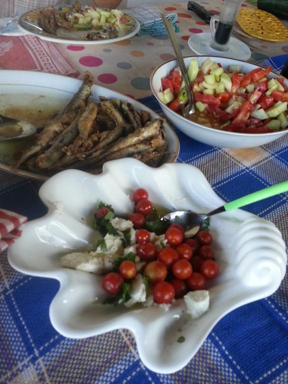 Dubrava Bellavista Peljesac Peninsula住宿加早餐旅馆 外观 照片